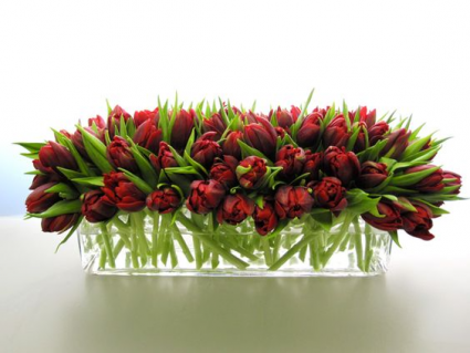 Tulips Holiday Centrepiece