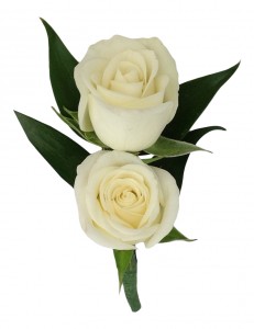 Two Miniature Roses  B21-16 Boutonniere