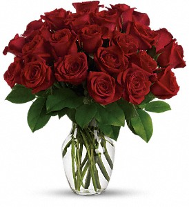 Two Short Dozen Red Roses Arrangement