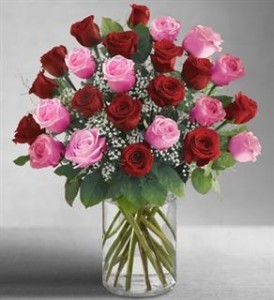 Ultimate Elegance 2 Dozen Long Stem Pink and Red Roses