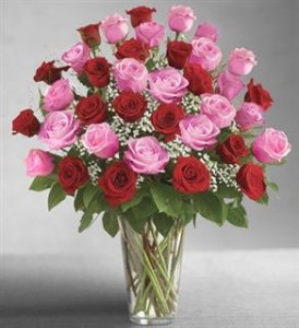 Ultimate Elegance 3 Dozen Long Stem Pink and Red Roses