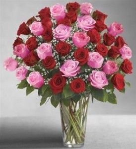 Ultimate Elegance 4 Dozen Long Stem Pink and Red Roses