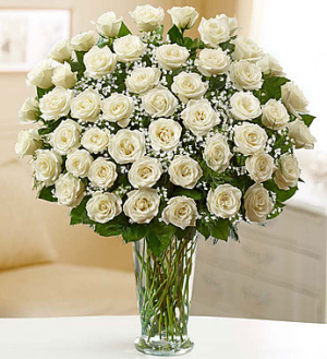 Ultimate Elegance in Allen, TX | Lovejoy Flower and Gift Shop Ultimate Elegance in Allen, TX | Lovejoy Flower and Gift Shop