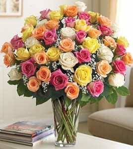 Ultimate Elegance Long Stem Assorted Roses **LIMITED TIME OFFER**