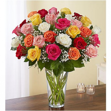 Ultimate Elegance™ Long Stem Assorted Roses  in Brooklyn, NY | FLORAL FANTASY