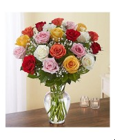 Ultimate Elegance™ Long Stem Assorted Roses 