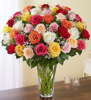 Ultimate Elegance™ Long Stem Assorted Roses rose
