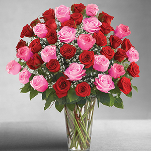 Ultimate Elegance™ Long Stem Hot Pink & Red Roses 