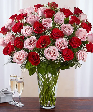 Ultimate Elegance Long Stem Pink & Red Roses 48 Premier Ecuadorian Roses