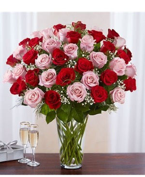 48 long stem pink & red roses 