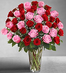Ultimate Elegance™ Long Stem Pink & Red Roses Fresh Arrangement