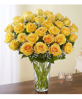 Ultimate Elegance Long Stem Yellow Roses 