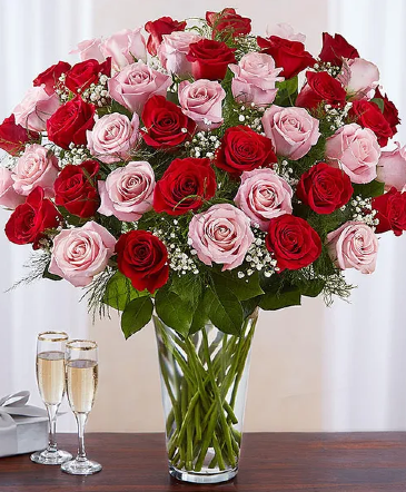 Ultimate Elegance Pink and Red Long stem Roses in Haltom City, TX | Jasmine Gardens
