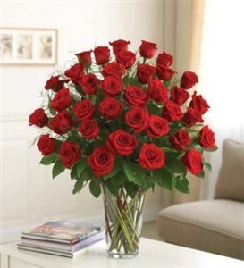 Ultimate Elegance Premium Long Stem Red Roses 3 DZ All around