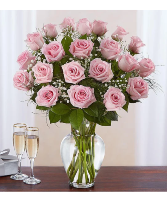 Ultimate Elegance Roses 