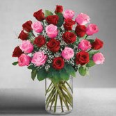 ULTIMATE ELEGANCE Two dozen red & pink roses