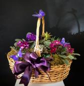 Ultra Violet  Plant basket