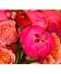 Under The Sea : Peony Designers Choice Vase Arrangement