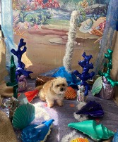 under the sea   perfect for the ariel theme birthd selfie station pick up