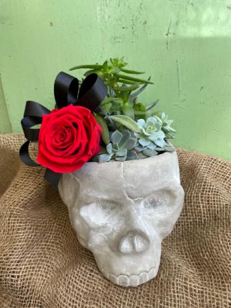 Undying Love Skull Succulent Planter
