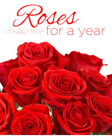 Unending Love Roses for a Year in Hesperia, CA | FAIRY TALES FLOWERS & GIFTS