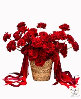 Universal Love   in Miami Springs, Florida | POINCIANA FLOWERS AND EVENTS