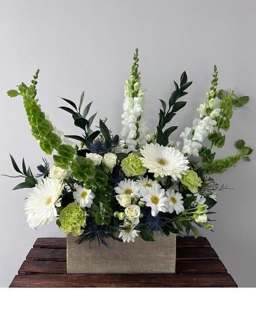 UpLift is White  in Aurora, ON | Petal Me Sugar Florist