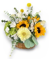 Uplift You Sunflowers in Basket