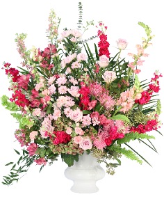 Category Image