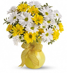 Upsy Daisy                            TEV13-4 Vase Arrangement