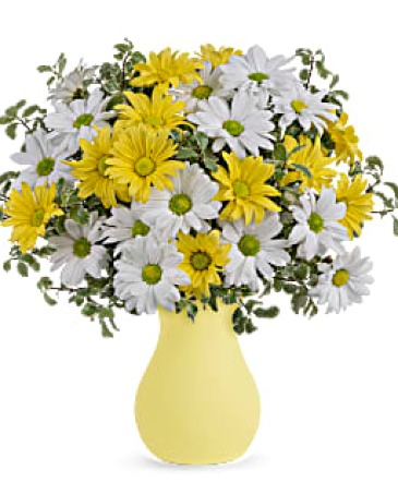 Upsy Daisy  TEV64-1A  in Fort Worth, TX | DAVIS FLORAL DESIGNS