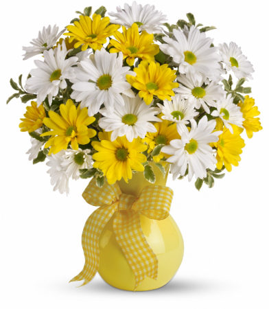 Upsy Daisy Vase