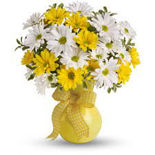 Upsy Daisy vase arrangement
