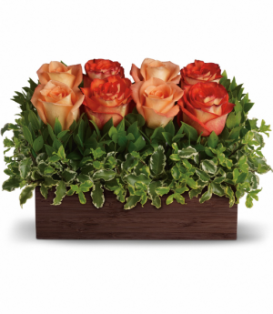 Uptown Bouquet in Fort Collins, CO | D'ee Angelic Rose Florist Uptown Bouquet in Fort Collins, CO | D'ee Angelic Rose Florist