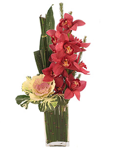 Category Image