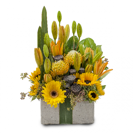 Urban Gift Arrangement