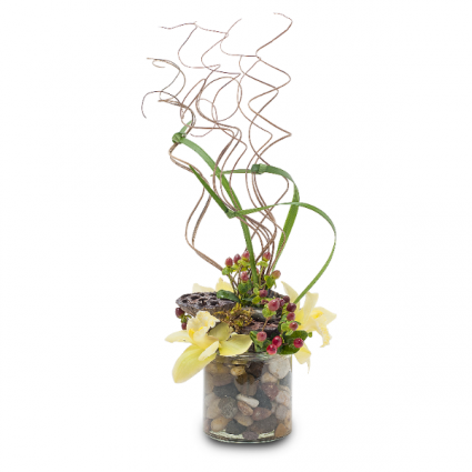 Urban Zen Arrangement