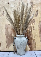 Urn with Pampas grass 