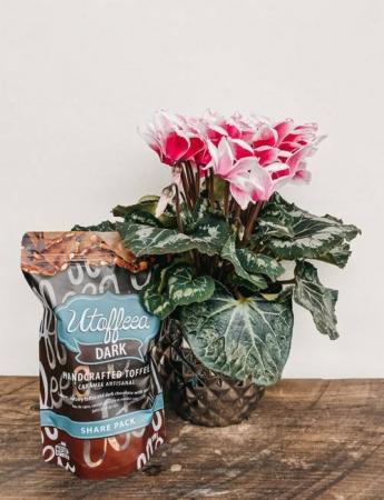 Utoffeea Handcrafted Toffee