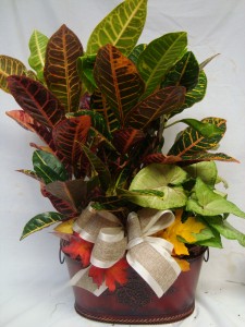 Plants in tin containers or baskets with real life life silk flowers seasonal look.  