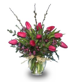 SIMPLY SPRING TULIPS Floral Arrangement
