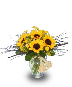 FRIENDLY SUNFLOWERS for Any Occasion