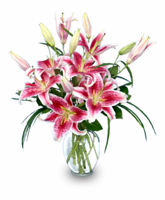PURELY STARGAZERS Flower Vase