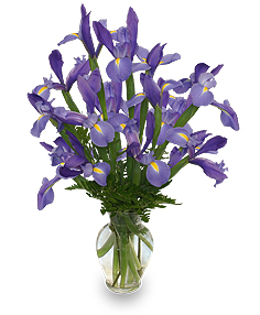 FLEUR-DE-LIS Iris Vase