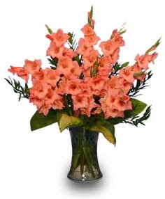 GLORIOUS GLADIOLUS  Flower Vase