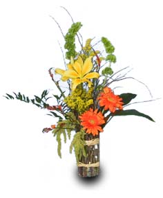NATURE'S GIFTS Bouquet of Flowers
