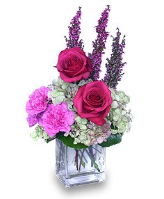 Category Image