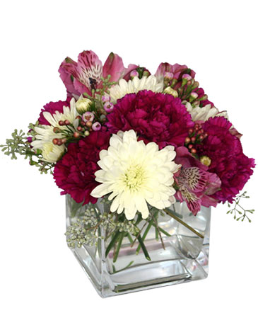 RASPBERRY SWIRL Floral Arrangement in Lewiston, ME | BLAIS FLOWERS & GARDEN CENTER