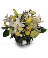 A GENTLE LULLABY of Fresh Flowers