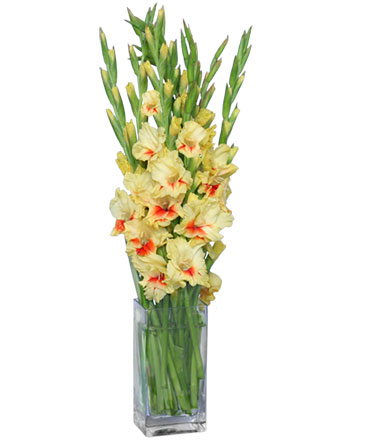 A DAY IN THE SUN Flower Arrangement